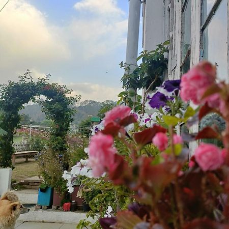 Mohraj Home Stay Bhowali 外观 照片