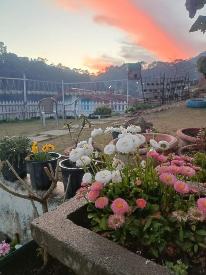 Mohraj Home Stay Bhowali 外观 照片