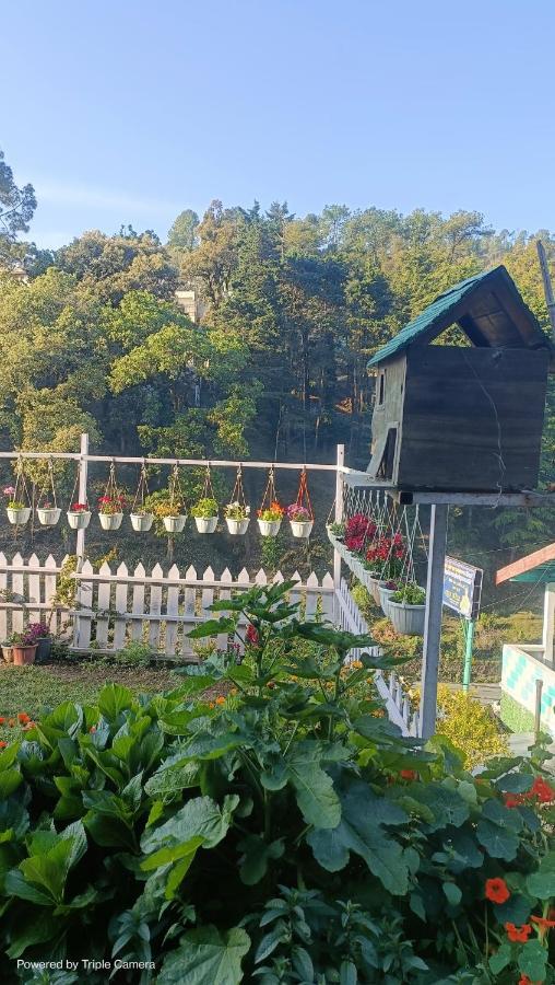 Mohraj Home Stay Bhowali 外观 照片