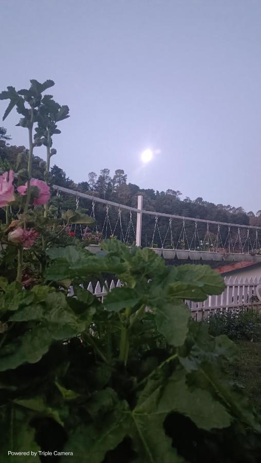 Mohraj Home Stay Bhowali 外观 照片