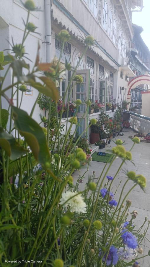 Mohraj Home Stay Bhowali 外观 照片