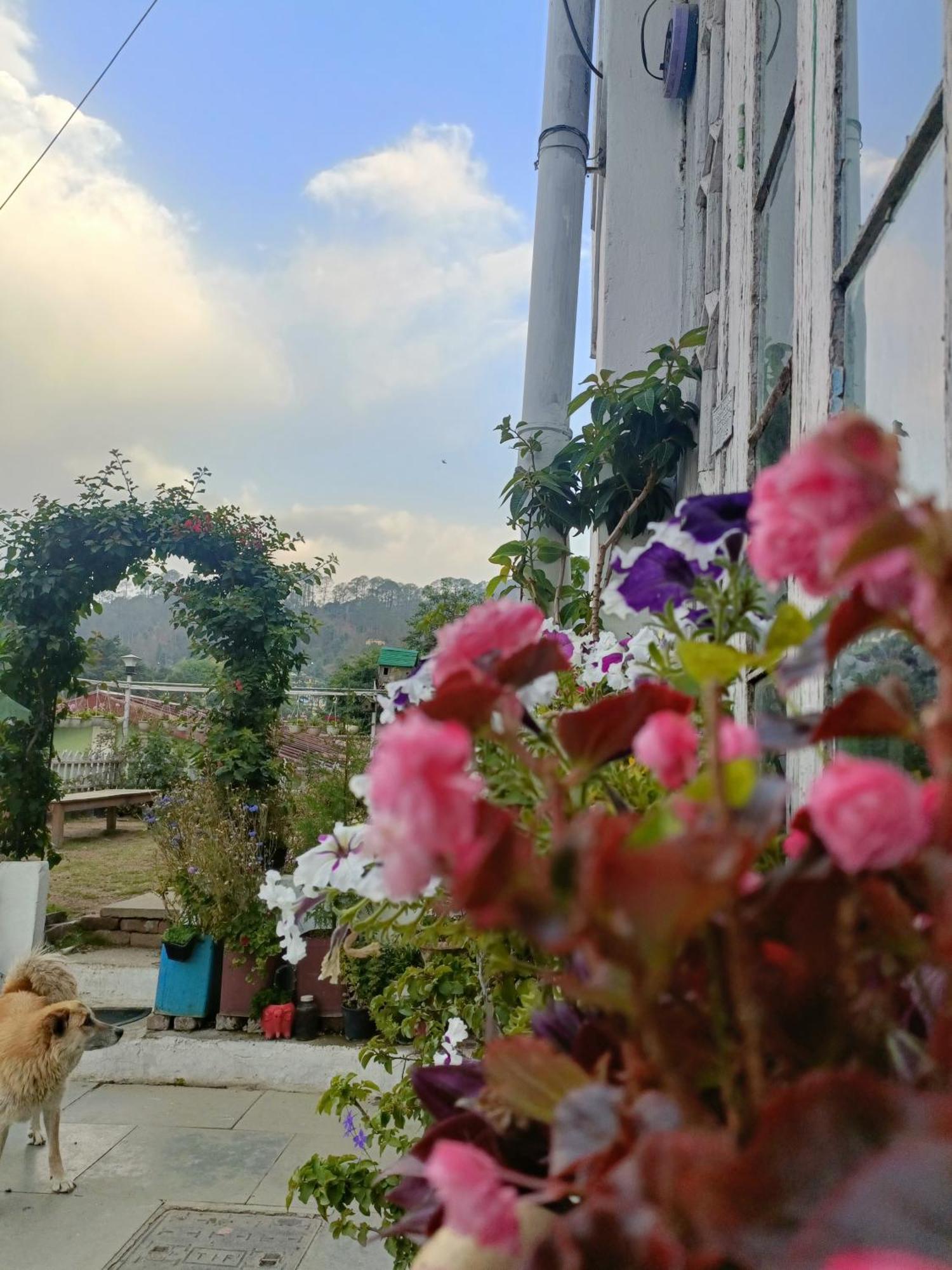 Mohraj Home Stay Bhowali 外观 照片